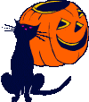 cat and pumpkin