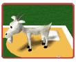 billy goat kicking baseball